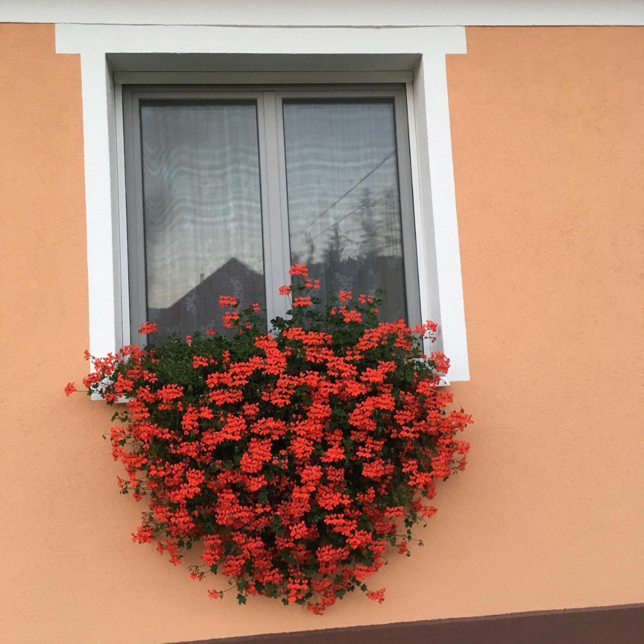 Liliom Vendeghaz Hotel Bakonybél Exterior foto